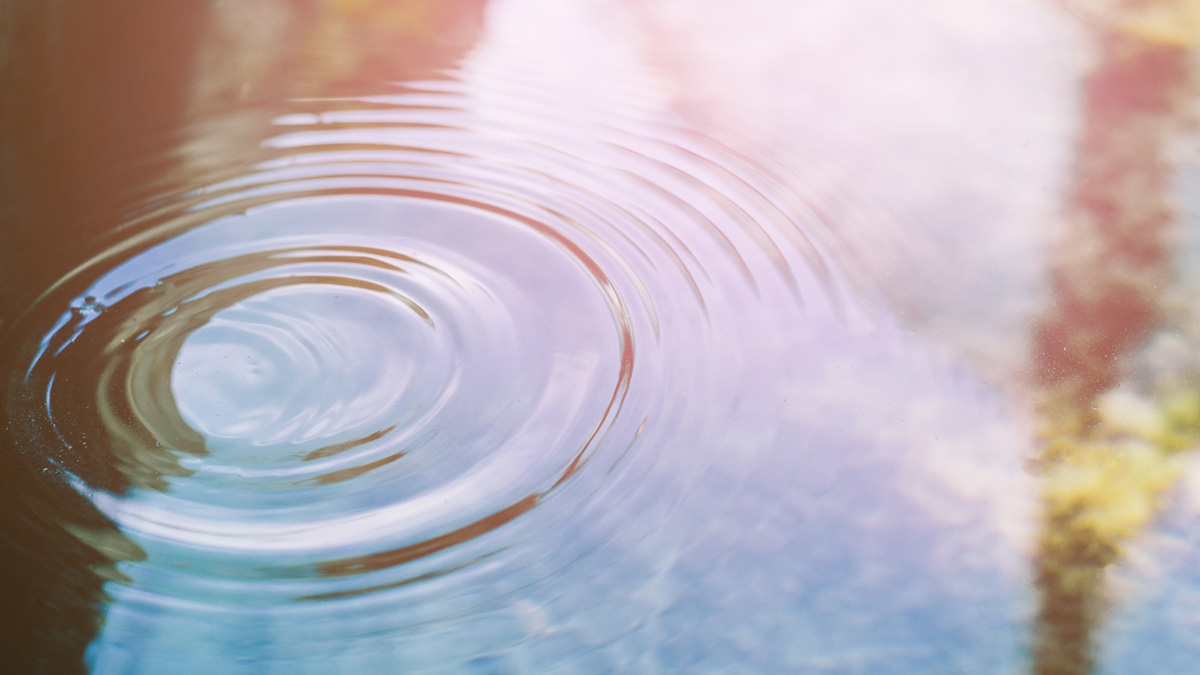 acque di corpi idrici superficiali