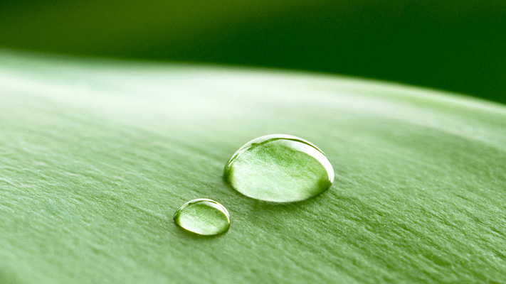 dettaglio goccia su foglia