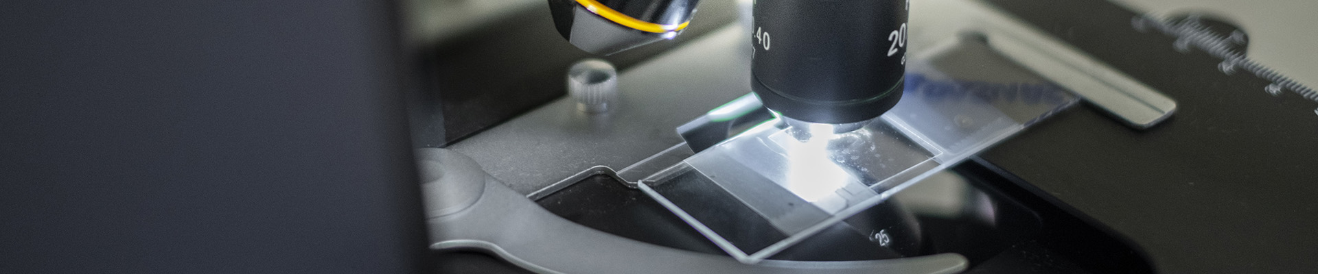 Dettaglio microscopio