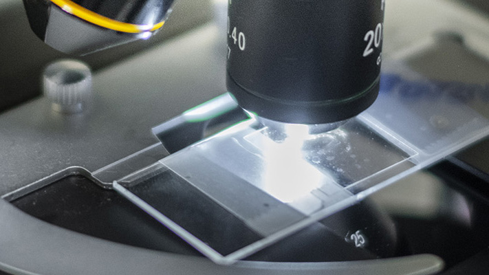 Dettaglio microscopio